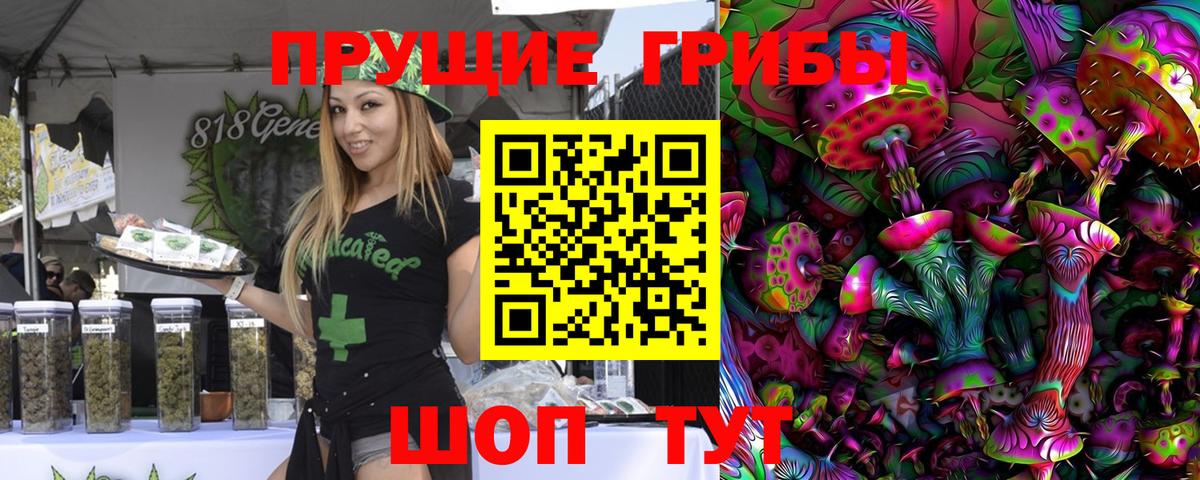 магазин  наркотиков  Вход с VPN  Ефремов  Псилоцибиновые грибы ЛСД 