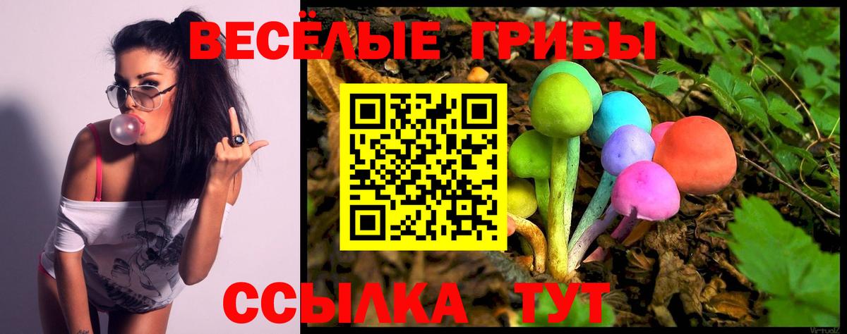 Псилоцибиновые грибы прущие грибы Ефремов